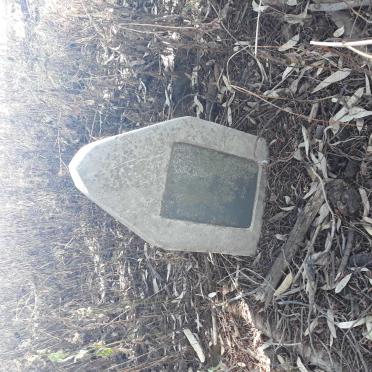 Mpumalanga, MIDDELBURG district, Middelburg, Teutfontein 407, farm cemetery