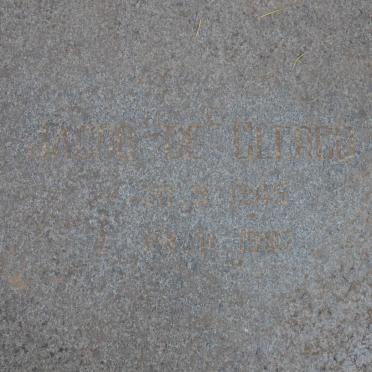 Mpumalanga, MIDDELBURG district, Hendrina, Vrischgewaagd 198_2, farm cemetery