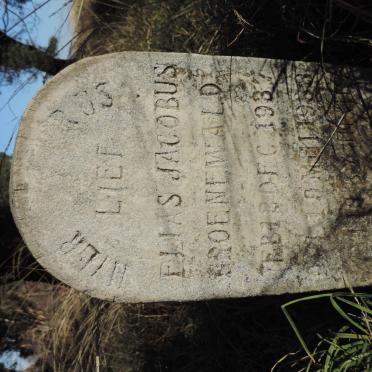 Mpumalanga, MIDDELBURG district, Rietkuil, Schoonoord 164 IS_1, farm cemetery
