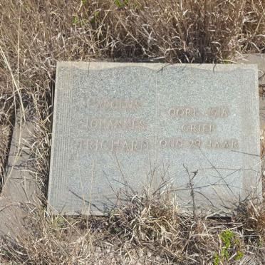 Mpumalanga, MIDDELBURG district, Middelburg, Rietfontein 341_8, farm cemetery