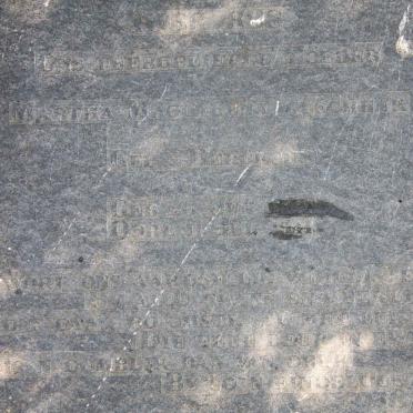 Mpumalanga, MIDDELBURG district, Stoffberg, Witpoort 216 JS, farm cemetery_3