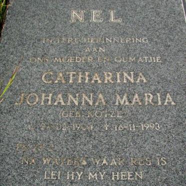 Mpumalanga, MIDDELBURG district, Nooitgedacht 208 JC, farm cemetery
