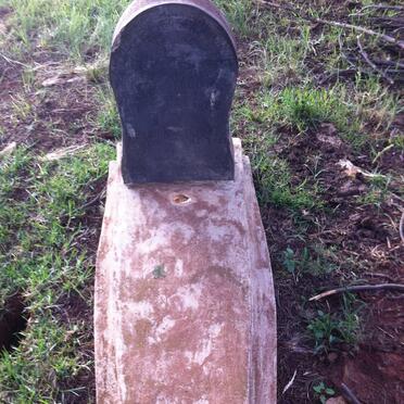 STEELER Hendrik Fredrik 1874-1942