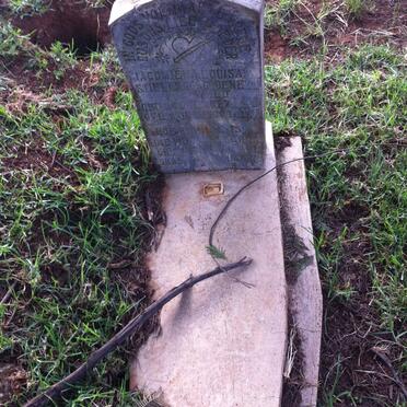 STIELER Jacomiena Louisa nee GROENEWALD 1877-1944