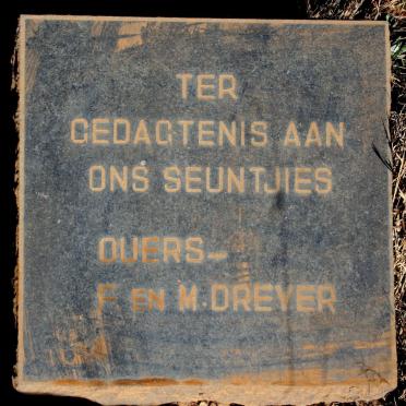 DREYER Seuntjies