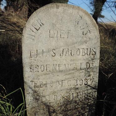 Mpumalanga, MIDDELBURG district, Rietkuil, Schoonoord 164 IS_1, farm cemetery