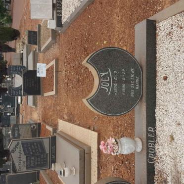 GROBLER Marthinus 1913-1983 &amp; Joey 1920-1996 #2