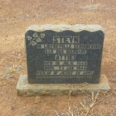 STEYN Attie 1943-1944