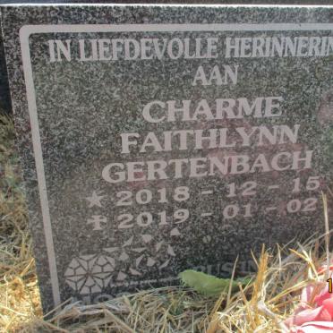 STEYN Willem snr 1941–2009 :: STEYN Willem jnr 1967–2005 :: GERTENBACH Charme Faithlynn 2018–2019 #3