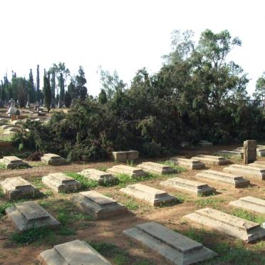 4. Overview on a fallen tree covering the graves