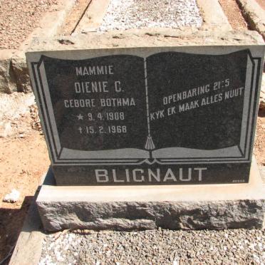 BLIGNAUT Dienie C. nee BOTHMA 1908-1968