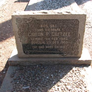 COETZEE Gideon P. 1946-1959
