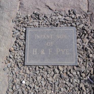 PYE Baby