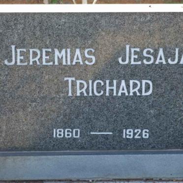 TRICHARD :: ERASMUS
