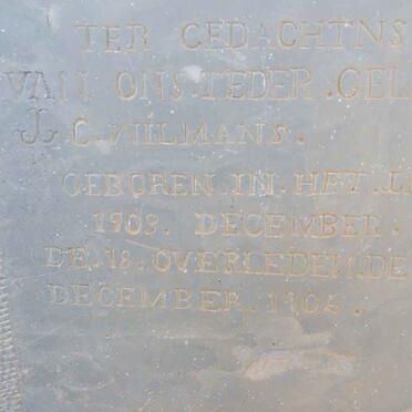 WILMANS C. 1903-1905