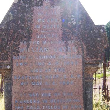 HAYES William 1845-1886