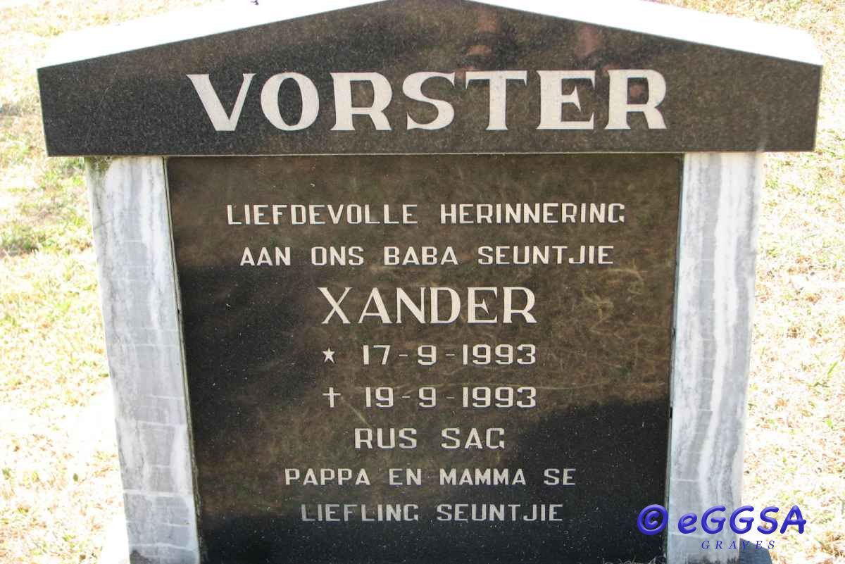 VORSTER Xander 1993-1993