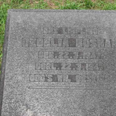 BOSMAN Cecilia 1947-1947