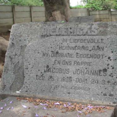 DIEDERICKS Jacobus Johannes 1886-1953