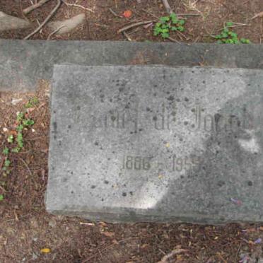 JONGH, de 1886-1955
