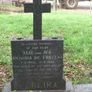 PEREIRA Antonio de Freitas 1906-1966