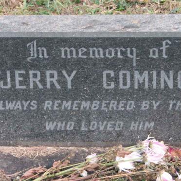COMINOS Jerry
