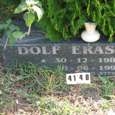 ERASMUS Dolf 1980-1998