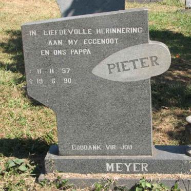MEYER Pieter 1957-1990