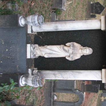 MERWE Jacob, van der 1954-1977