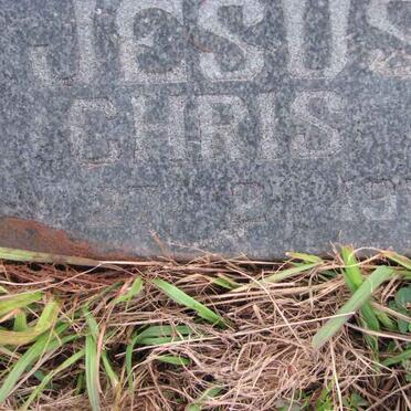 MERWE Chris, van der 1958-1991