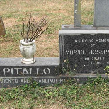 PITALLO Cosimo Mimmo 1919-1980 &amp; Muriel Josephine 1918-1992 