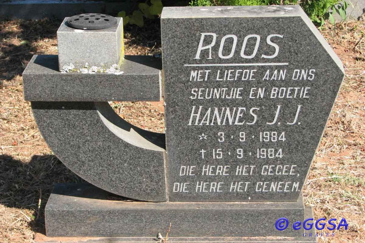 ROOS Hannes J.J. 1984-1984