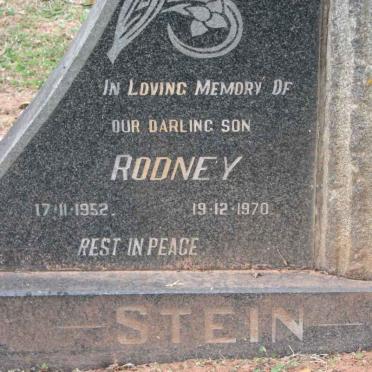 STEIN Rodney 1952-1970