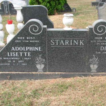 STARINK Dirk 1900-1977 &amp; Adolphine Lisette 1907-1987