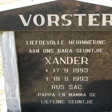 VORSTER Xander 1993-1993