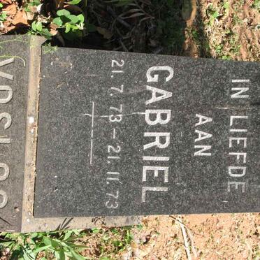 VOSLOO Gabriel 1973-1973