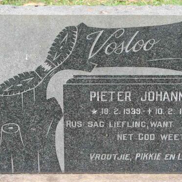 VOSLOO Pieter Johannes 1939-1969