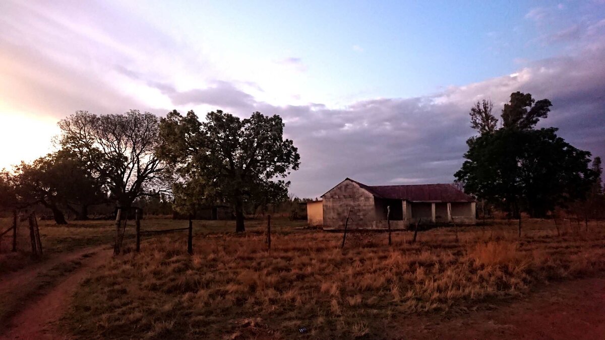 1. Oorsig / Overview Van Dyk Spruit