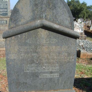 BEZUIDENHOUT Johannes  1866-1949