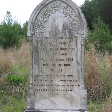 Mpumalanga, PIET RETIEF district, Wolvenkop 427_1, farm cemetery