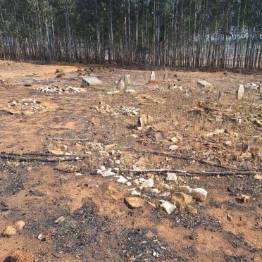 Mpumalanga, PIET RETIEF district, Sappi Hlelo Plantation, Verzameling 506, farm cemetery