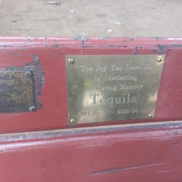 ? Tequila 2011-2022
