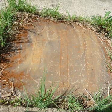 HALLANT William -1918