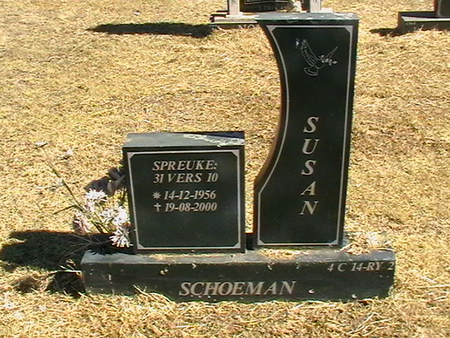 SCHOEMAN Susan 1956-2000