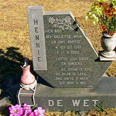 WET Hennie, de 1961-1990