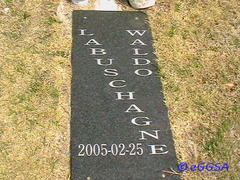 LABUSCHAGNE Waldo 2005-2005