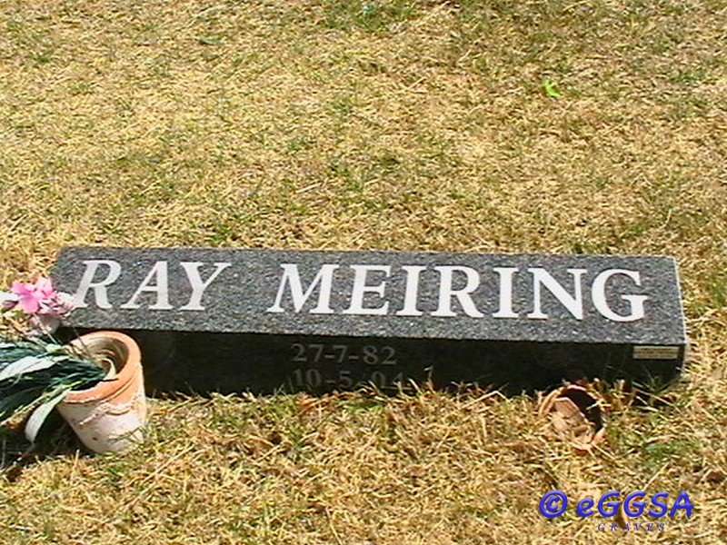 MEIRING Ray