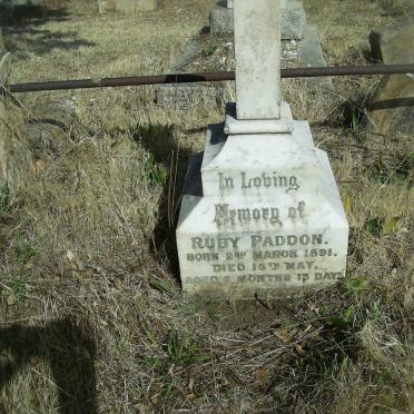 PADDON Ruby  -1891