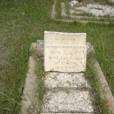 VILJOEN Dirkie Elizabeth Wilhelmina nee SCHEEPERS 1881-19??