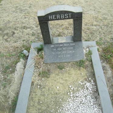 HERBST Baby 1981-1981